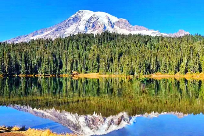 Mount Rainier National Park Day Tour from Seattle - Key points before you reserve
