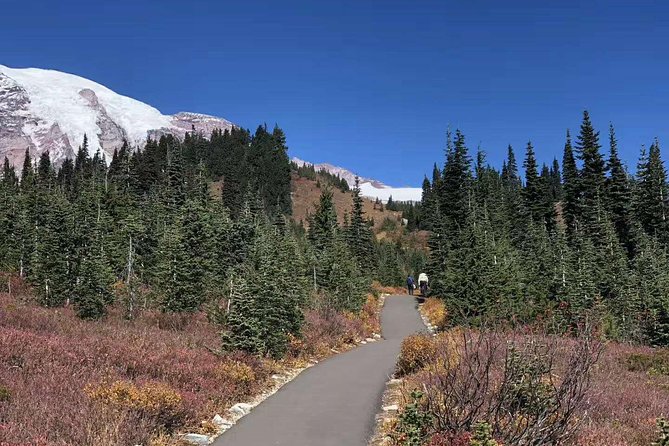 Mount Rainier National Park Day Tour from Seattle - Entering a volcano country