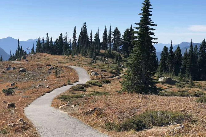 Mount Rainier National Park Day Tour from Seattle - Christine Falls and Narada Falls