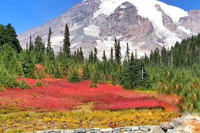 Mount Rainier National Park Day Tour from Seattle - Reflection Lakes and mirror views