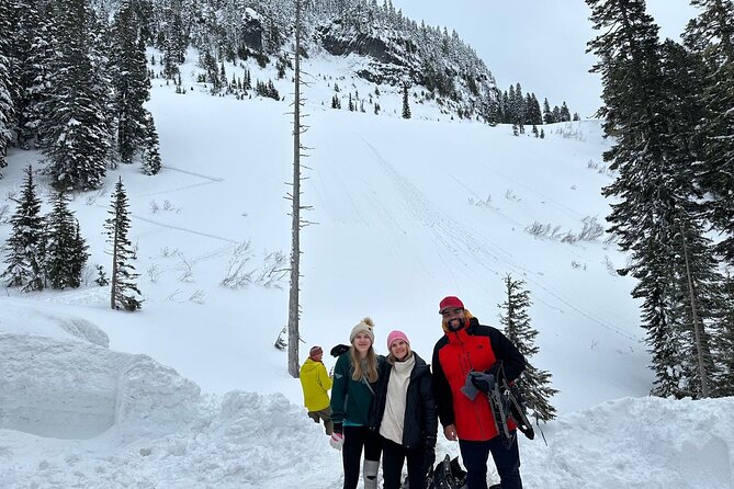 Mount Rainier Private Full Day — Sprinter Van or SUV - From Seattle hotels and cruise piers to the mountain