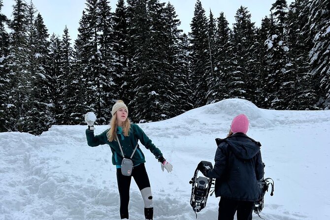 Mount Rainier Private Full Day — Sprinter Van or SUV - The value of waterfalls, lakes, and extra stops