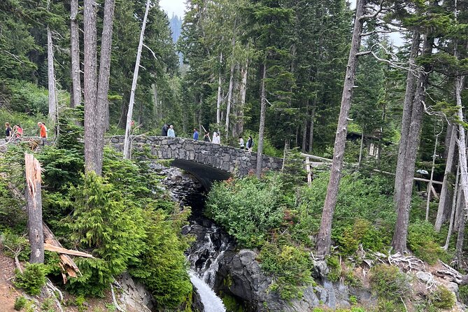 Mount Rainier Private Full Day — Sprinter Van or SUV - Comfort, group size, and mobility