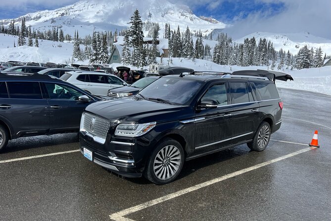 Mount Rainier Private Full Day — Sprinter Van or SUV - Who should book this Mount Rainier tour?