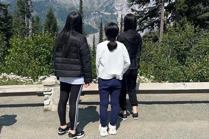 Mount Rainier Private Full Day — Sprinter Van or SUV - Paradise and the Henry M. Jackson Memorial Visitor Center
