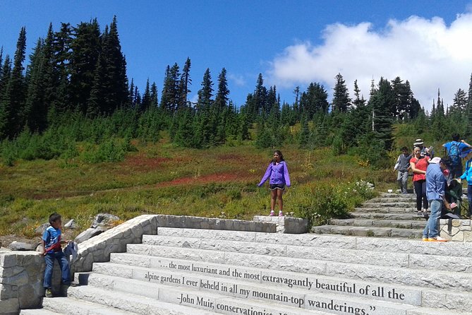 Mount Rainier Tour from Seattle - Why a private Mount Rainier day matters