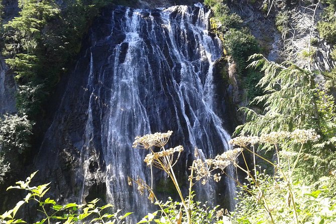 Mount Rainier Tour from Seattle - Paradise and four hours inside the park