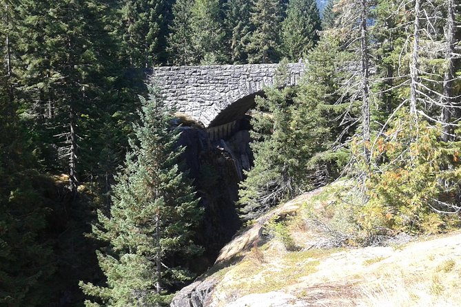 Mount Rainier Tour from Seattle - Waterfalls, forests, and roadside surprises