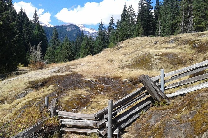Mount Rainier Tour from Seattle - Lunch is the main extra to plan