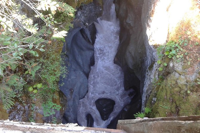 Mount Rainier Tour from Seattle - How the $462.37 price adds up