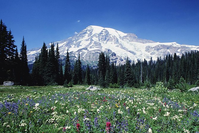 Mt. Rainier Day Tour from Seattle - The minibus ride from Seattle