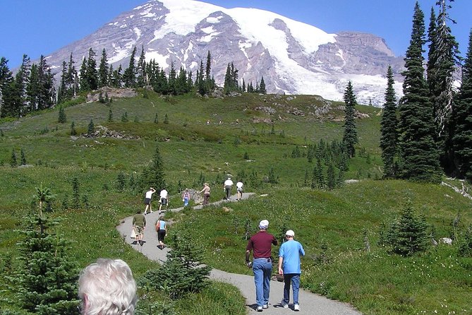 Mt. Rainier Day Tour from Seattle - Twin Firs and old-growth forest