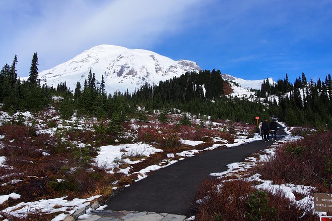 Mt. Rainier Day Tour from Seattle - Reflection Lakes and Tipsoo Lake