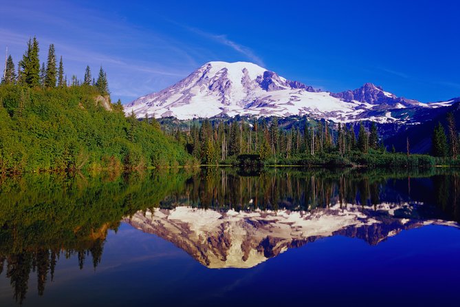 Mt. Rainier Day Tour from Seattle - What the guides add to the day