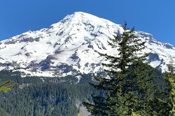 Mt. Rainier highlights - old forest, falls and glaciers - Winter and spring snowshoeing at Paradise