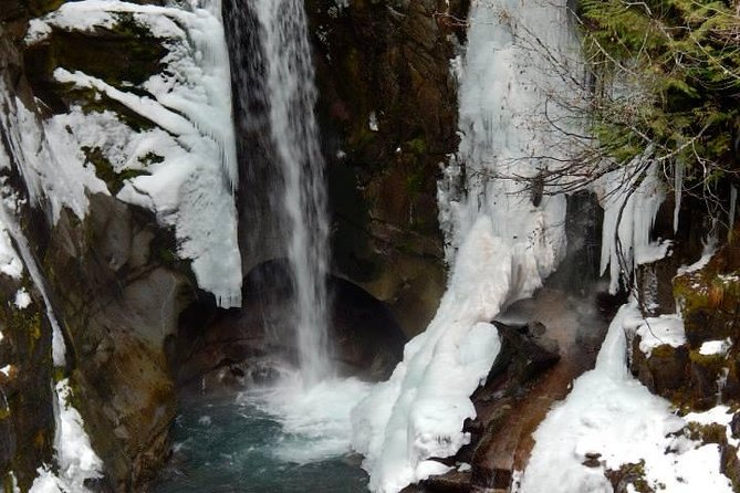 Mt. Rainier National Park Highlights Tour - Why this Seattle day trip works