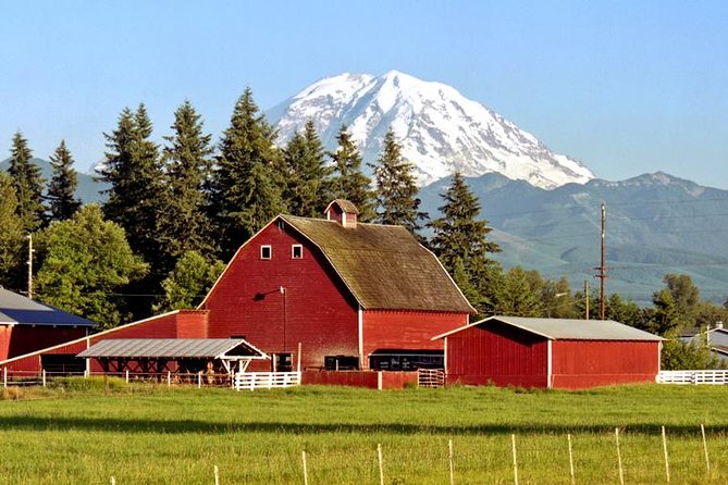 Mt. Rainier National Park Highlights Tour - Paradise is worth building the day around
