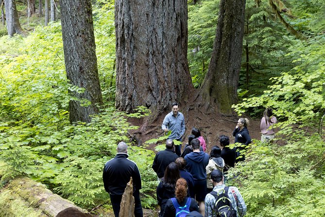 Mt. Rainier National Park Highlights Tour - Summer adds lakes and the Sunrise option