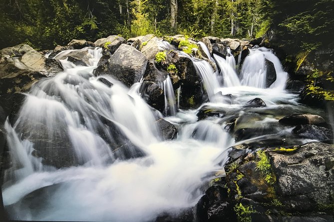 Mt. Rainier National Park Highlights Tour - What the $150 price really buys