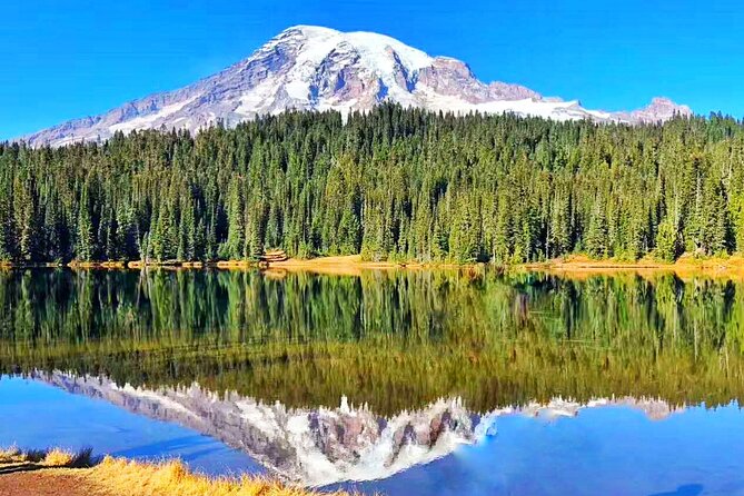 Mt Rainier National Park Small Group Day Tour from Seattle 2CanGo - Narada Falls brings the sound and force