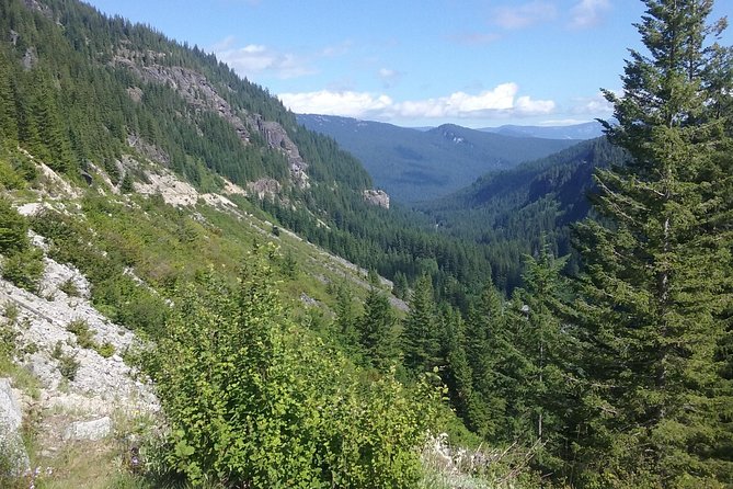 Mt Rainier Private Tour Experience in SUV - Weather can change the day