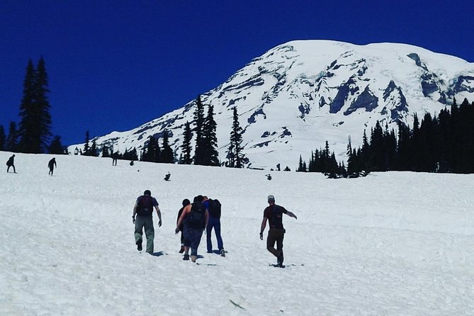 Mt Rainier Private Tour Experience in SUV - Lunch is the one planning gap
