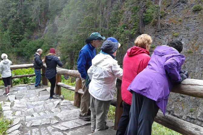 Mt Rainier Private Tour Experience in SUV - Is $462.36 per person good value?