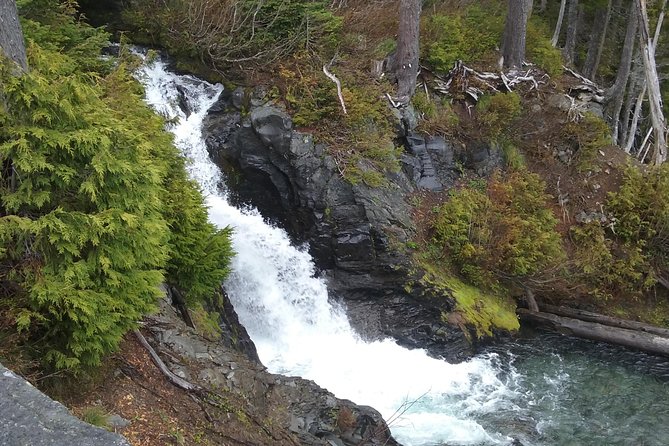 Mt Rainier Private Tour Experience in SUV - Pickup from hotels, SEA, and cruise terminals