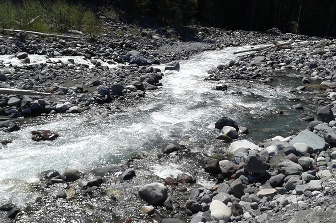 Mt Rainier Private Tour Experience in SUV - Flexible walks, wildlife, and small details
