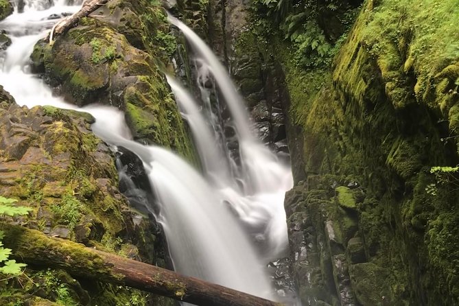 Olympic National Park Day Tour from Seattle - Why This One-Day Olympic Tour Works