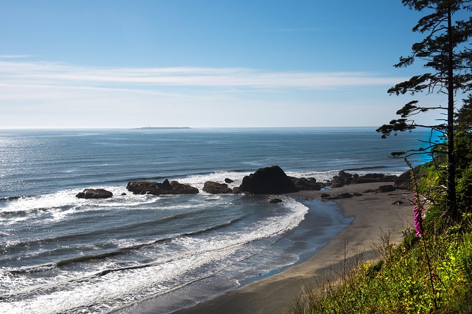 Olympic National Park Day Tour from Seattle - Salt Creek, Dungeness, and the Pacific Edge