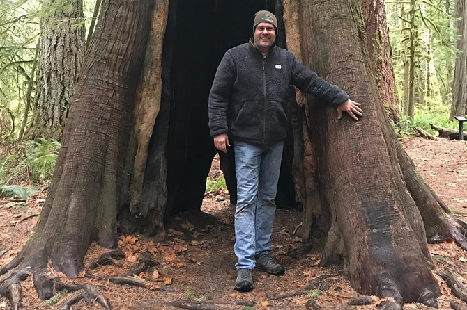 Olympic National Park Day Tour from Seattle - Lake Crescent and Marymere Falls