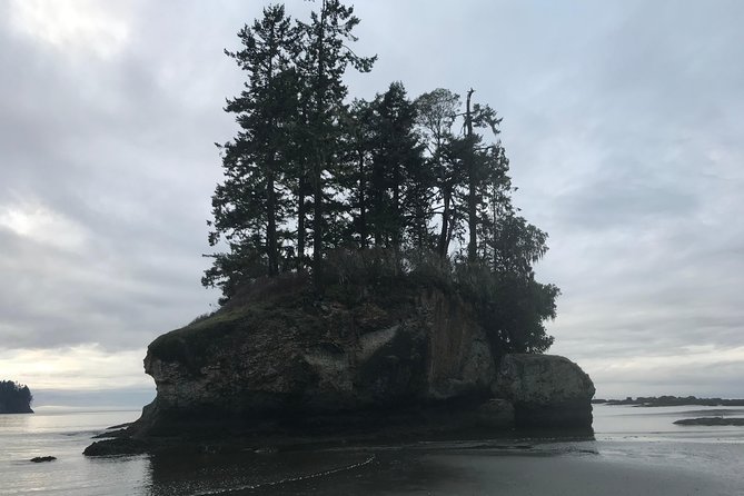 Olympic National Park Day Tour from Seattle - Sol Duc Falls and the Old-Growth Forest