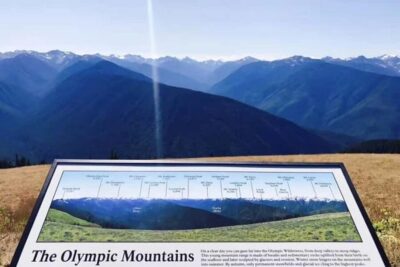 Olympic National Park Small Group Day Tour w/ State Ferries