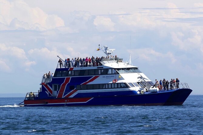 Only Wildlife and Whale Watching Tour Leaving from Seattle - Is $153.64 a fair price?