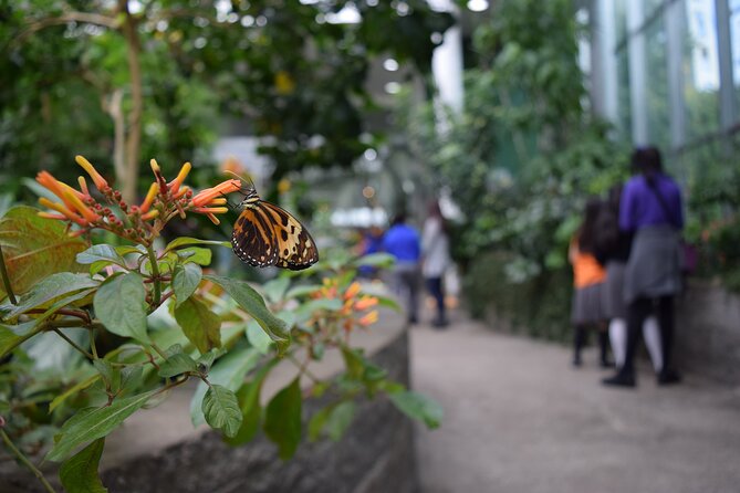 Pacific Science Center General Exhibit Admission - Start with the Tropical Butterfly House