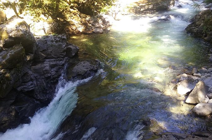Private Cascade Mountains and Waterfalls Tour from Seattle - The final two hours are where your preferences matter