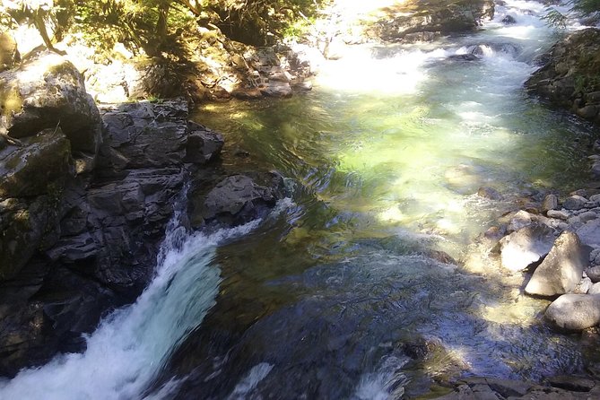 Private Cascade Mountains and Waterfalls Tour from Seattle - Pickup makes the logistics unusually easy