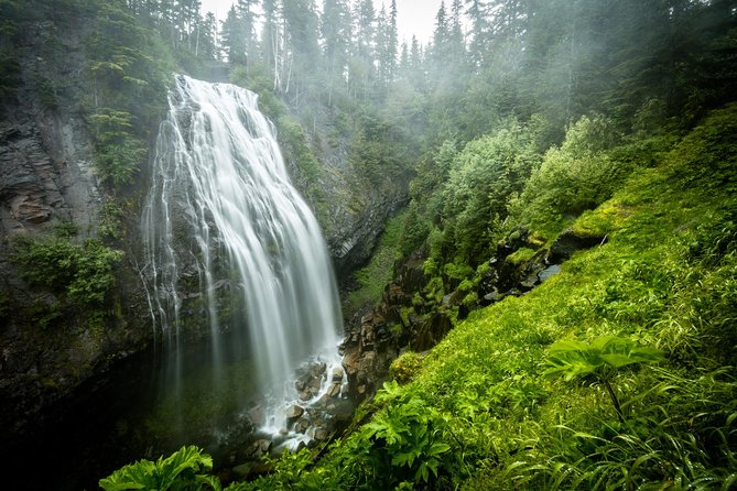 Private Mt Rainier National Park Day Trip from Seattle - Paradise gives you the big mountain moment