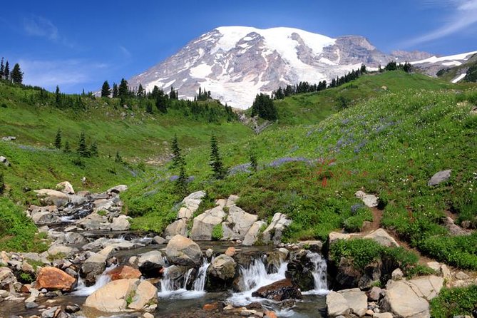 Private Mt Rainier National Park Day Trip from Seattle - Reflection Lakes is the photo stop to watch