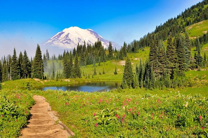 Private Mt Rainier National Park Tour in SUV - Key points to know before booking
