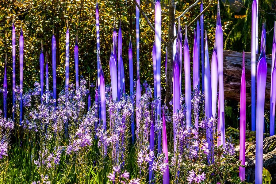 Seattle: Chihuly Garden and Glass Entry Ticket - Key points to know before you go