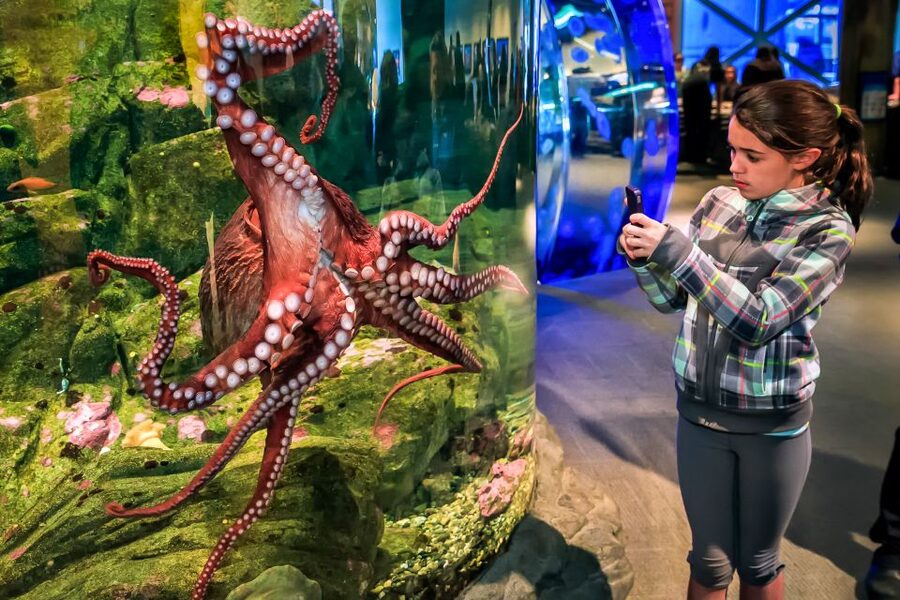 Seattle CityPASS®: Save up to 46% at 5 Top Attractions - Sample schedules for two, four, or nine days