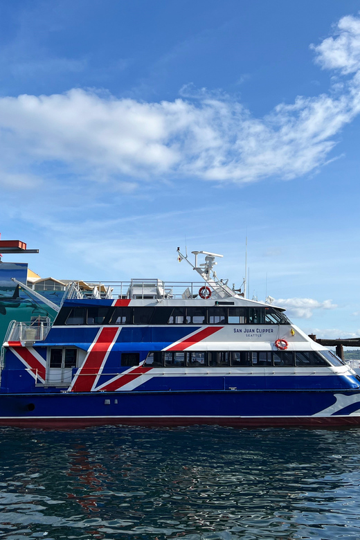 Seattle: Half-Day Wildlife and Whale Watching Cruise - The naturalist makes the ride more than a boat trip