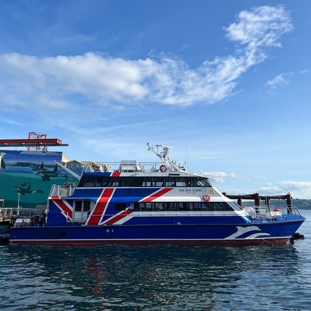 Seattle: Half-Day Wildlife and Whale Watching Cruise - Boat comfort, seating, and the crowd factor