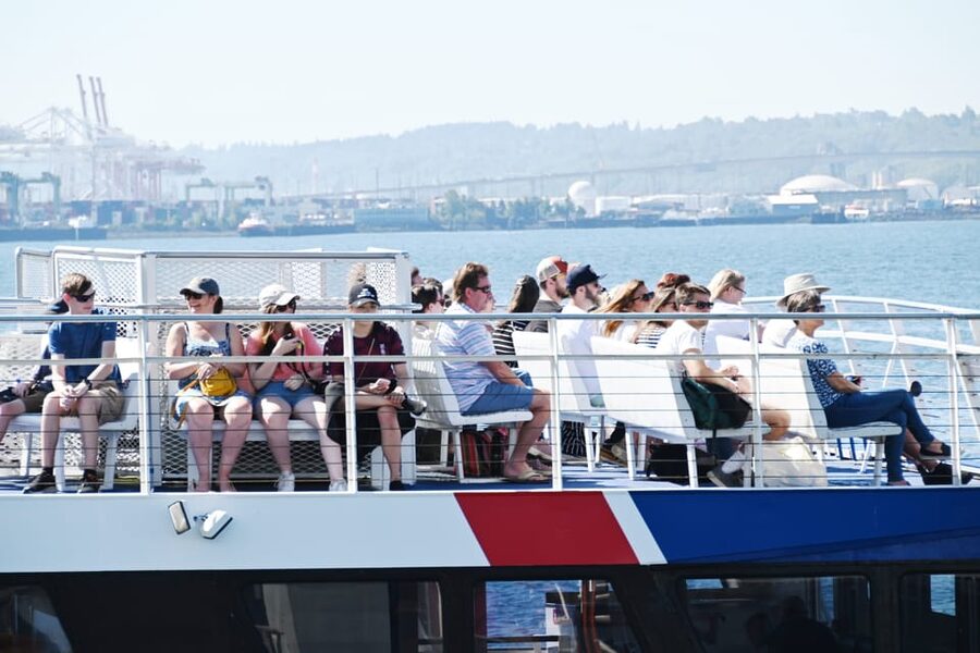 Seattle: Half-Day Wildlife and Whale Watching Cruise - Practical tips for a better outing