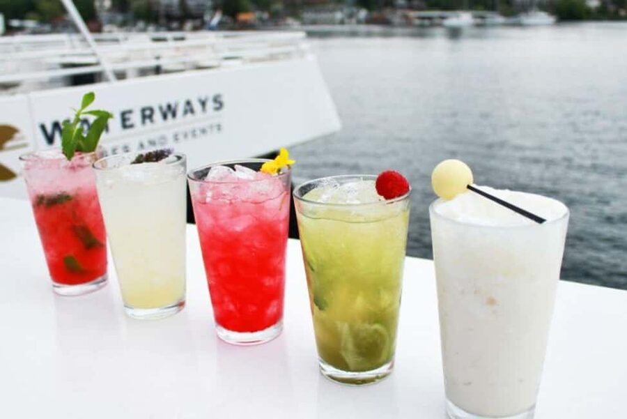 Seattle: Lake Union Happy Hour Cruise - Meeting the Sightseer at Lake Union Park