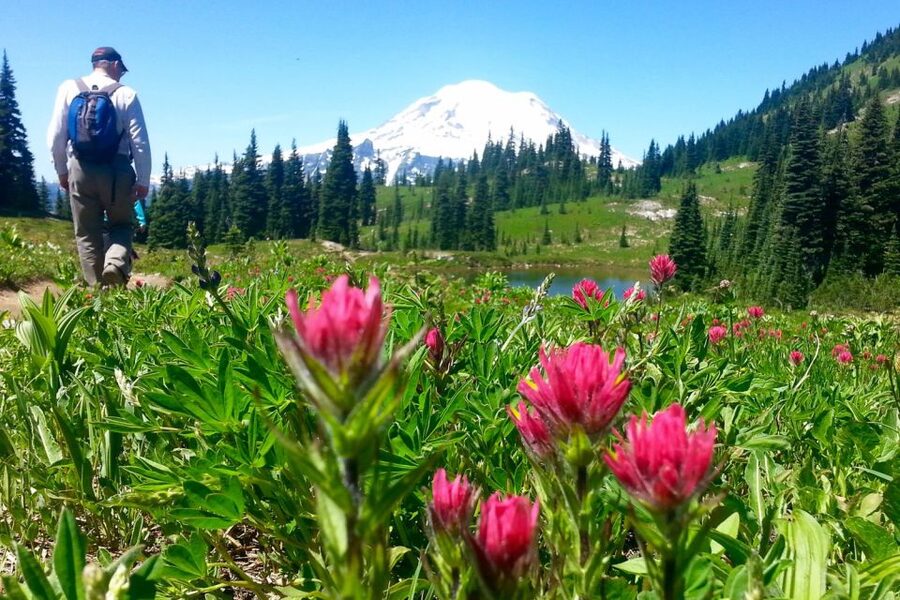 Seattle: Mount Rainier Park All-Inclusive Small Group Tour - Practical details before you reserve