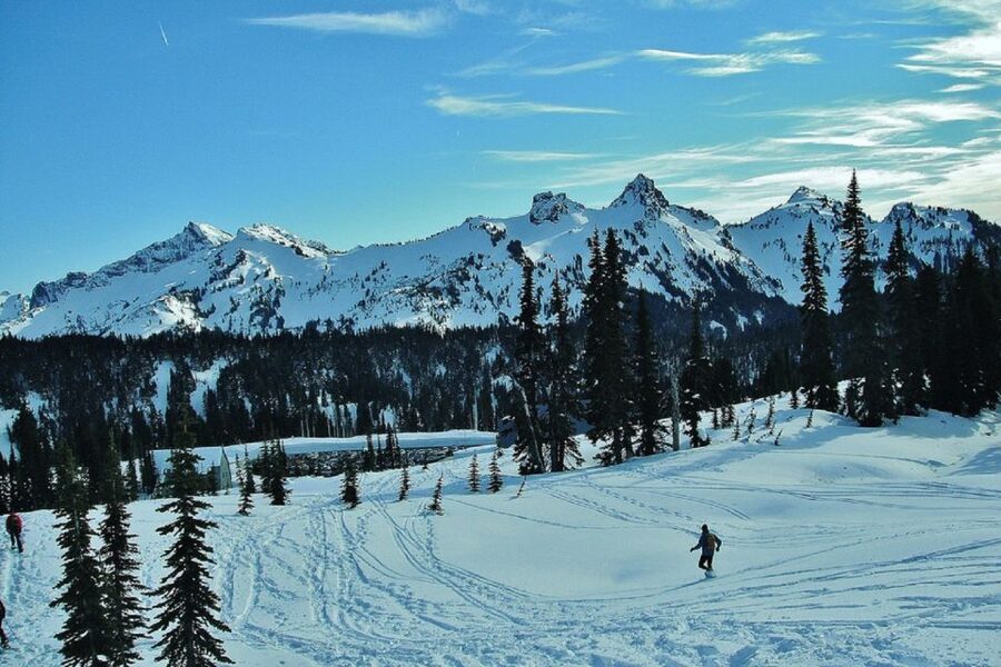 Seattle: Mount Rainier Park All-Inclusive Small Group Tour - Hiking in summer and snowshoeing in winter