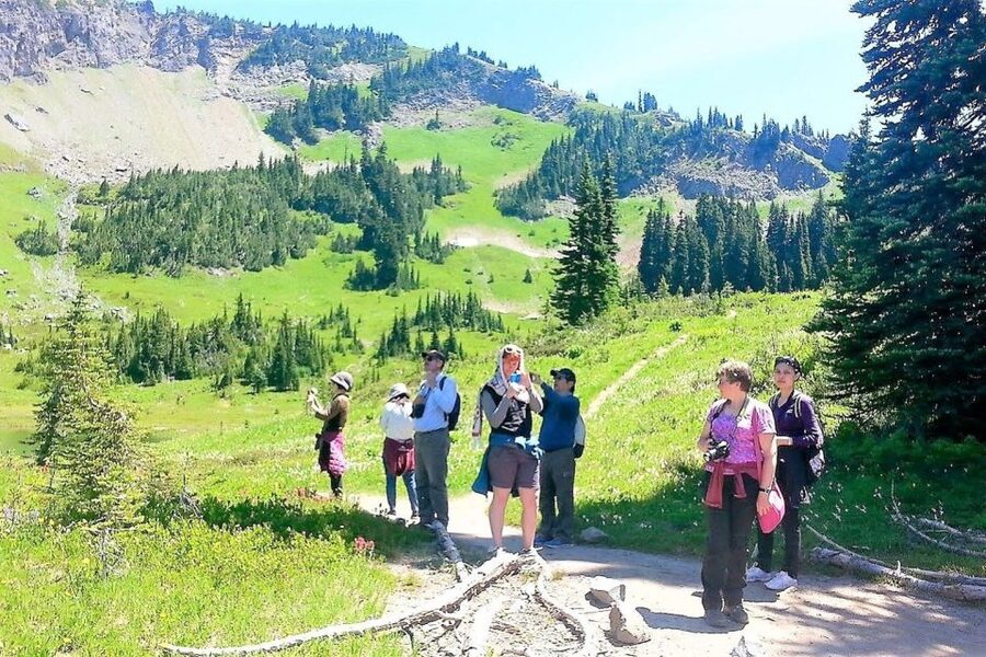Seattle: Mount Rainier Park All-Inclusive Small Group Tour - The rhythm of a 10.5-hour day